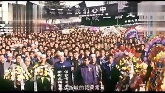 登封市最新爆料消息新闻,最新爆料揭示惊人真相