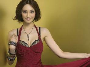 吴佩慈最新爆料,揭秘豪门背后的惊人真相