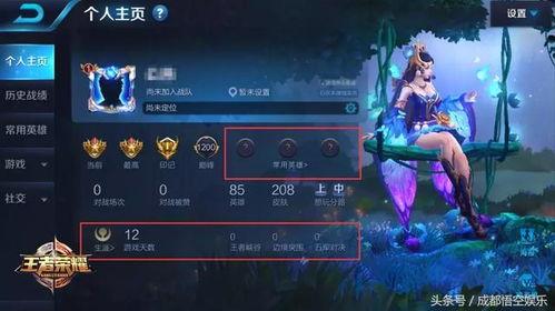 小茶王者爆料最新视频