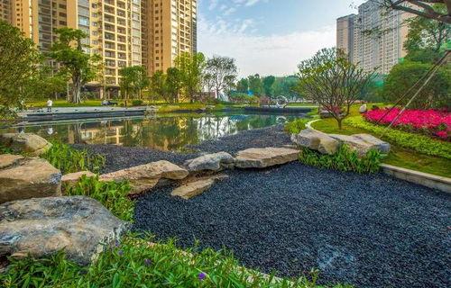 深圳龙光城爆料事件最新,揭秘背后真相与争议