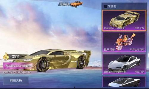 和平精英爆料最新车皮,神秘车皮亮相，独特外观引玩家热议