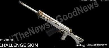 ss21赛季最新爆料免费枪皮,全新设计，炫酷登场！