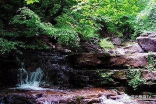 山水as29最新爆料,揭秘高端智能设备的极致魅力