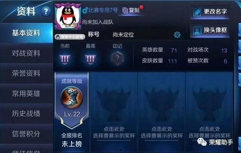 王者皮肤爆料最新账号是多少,揭秘最新账号动态，揭秘神秘皮肤信息