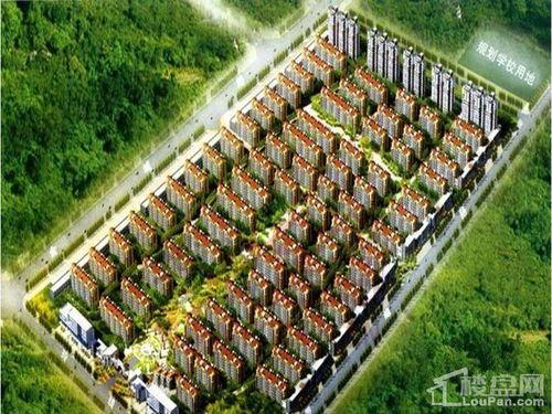 龙鑫佳苑爆料最新消息,揭秘小区动态与重大事件！