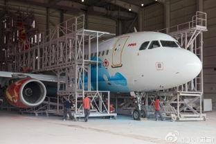 桂林飞机最新爆料事件真相