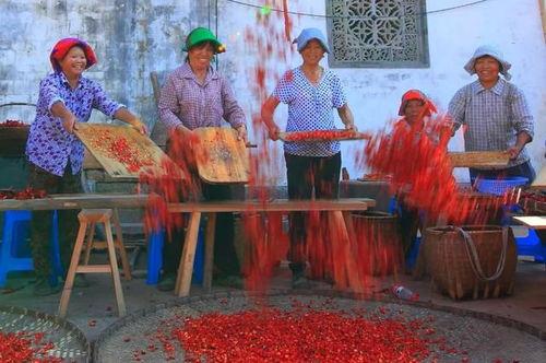 农民二龙最新爆料,农业新动向背后的惊人真相