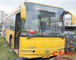 深圳公交车最新爆料,揭秘最新线路调整与乘车体验升级