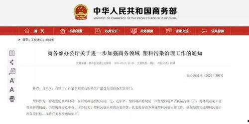 新城最新爆料消息今天新闻,今日新闻焦点深度解析